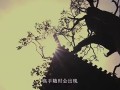 七小罗汉