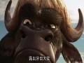 动物总动员
