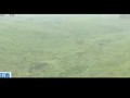 我国首次拍摄到野生东北豹清晰画面