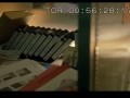 狂鸟之灾