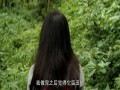 2012年2月热门电影合集