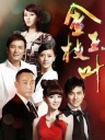 金枝玉叶央视版