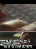 [国家地理]【环球美食通2：辣椒篇】[中文字幕]